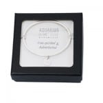 Stainless steel armband sterrenbeeld Waterman zilver