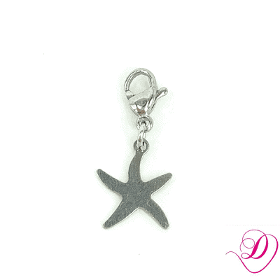 Bedel zeester zilver Bedel zeester zilver