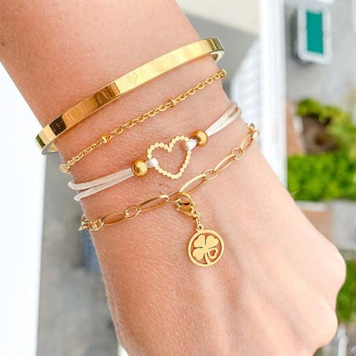 Stainless steel armbandenset goud Daisy's Collection