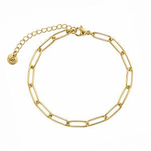 Stainless goud